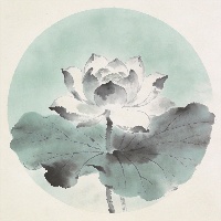 王*硕